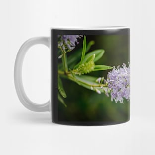 FLOWERS, NATURE’S Fashion Models Mug